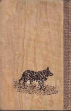 לסי חוזרת הביתה / אריק ניט