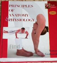 Principles of Anatomy & Physiology