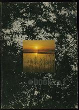 The Economic Way of Thinking