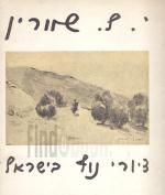 י.ל. שוורין - ציורי נוף בישראל
