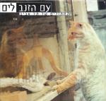 עם הזנב לים - החתולים של תל אביב