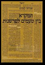 המקרא בין טעמים לפרשנות