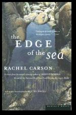 The Edge of The Sea