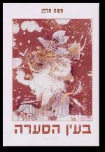 בעין הסערה