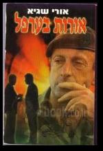 אורות בערפל