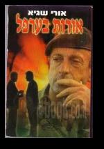 אורות בערפל