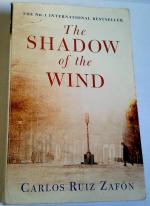 the shadow of the wind
