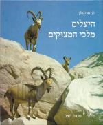היעלים מלכי המצוקים