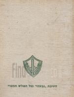 חטיבת גבעתי מול הפולש המצרי / חטיבת