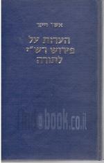 הערות על פירוש רש