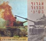 אגרוף הברזל בסיני - החטיבה במלחמת ששת הימים