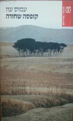 קופסה שחורה