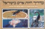 מדריך חיות ארס בישראל