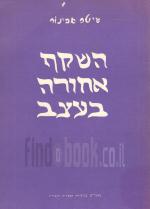השקף אחורה בעצב: מאמרים בביקורת הספרות העברית (במצב ט