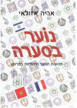 נוער בסערה