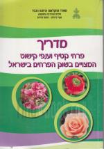 מדריך פרחי קטיף וענפי קישוט המצויים בשוק הפרחים בישראל