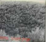 יצחק דנציגר מקום