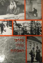 בדרכי פולין האבלות א-ב