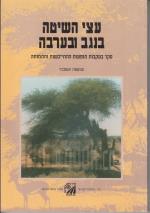 עצי השיטה בנגב ובערבה