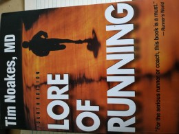 Lore Of Running