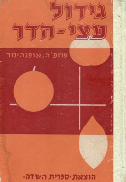 גידול עצי הדר