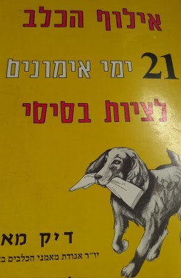 אילוף הכלב 21 ימי אימון לציות בסיסי