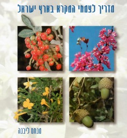 מדריך לצמחי המקרא בארץ ישראל (חדש לגמרי!)