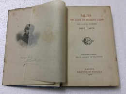 Mliss the luck of roaring camp and other stories