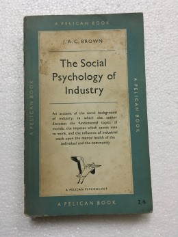 The Social Psychology of Industry