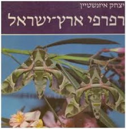 פרפרי ארץ ישראל