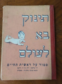 תינוק בא לעולם סיפור על ראשית החיים