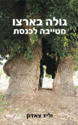 גולה בארצו מטייבה לכנסת