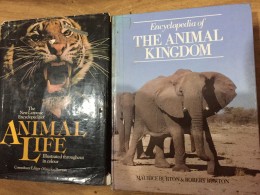 The animal kingdom encyclopedia