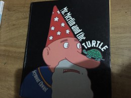 Mr.merlin and the turtle