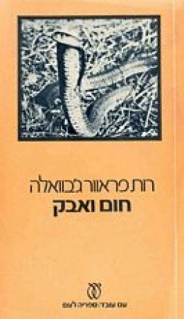 חום ואבק