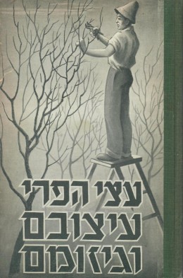עצי הפרי עיצובם וגיזומם