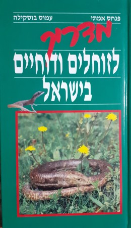מדריך לזוחלים ודוחיים בישראל