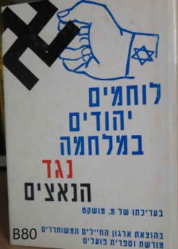 לוחמים יהודים במלחמה נגד הנאצים