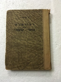 רפורטז'ה של בחור 