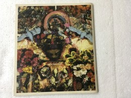 ביאנקה אשל-גרשוני 1980-1985