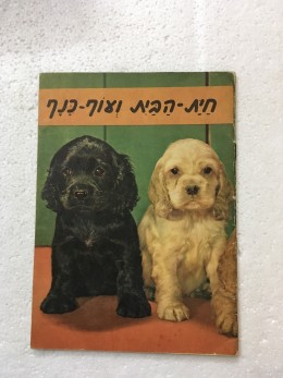 חית-הבית ועוף-כנף