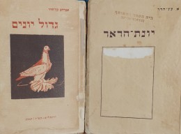 גדול יונים + יונת הדאר ( 2 ספרים על גידול יונים)