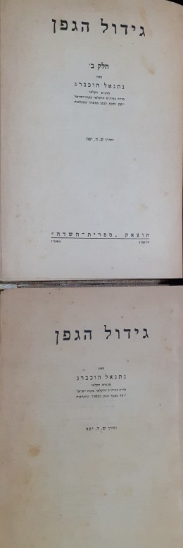 גידול הגפן