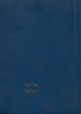 אושר ועושר / ציורים וכתב