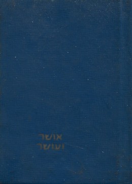 אושר ועושר / ציורים וכתב