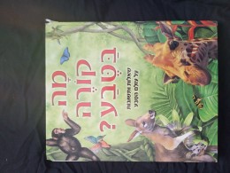 מה קורה בטבע?