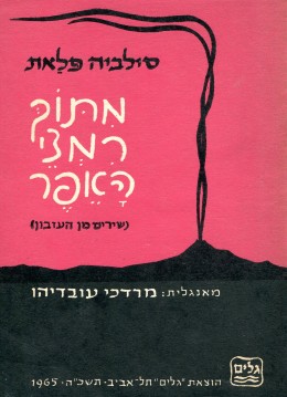מתוך רמצי האפר (מהדורה כפולה, עברית ואנגלית)