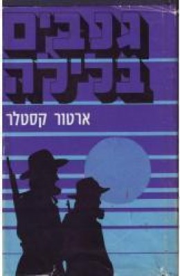גנבים בלילה