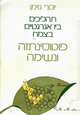 תהליכים ביו-אנרגטיים בצמח : פוטוסינתזה ונשימה