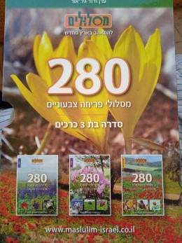 280 מסלולי פריחה צבעוניים